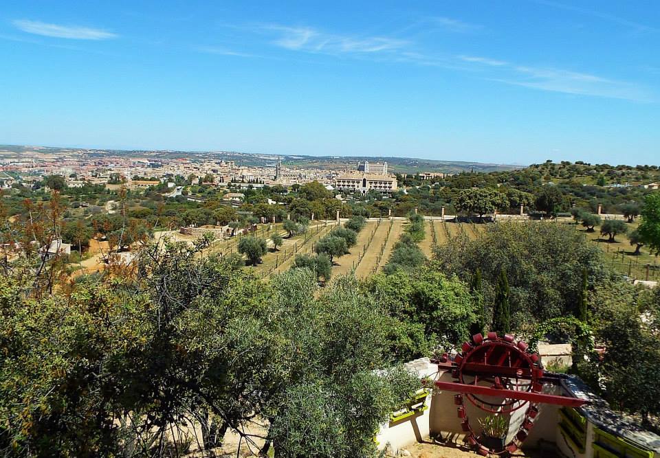 The vineyards of Toledo, Spain