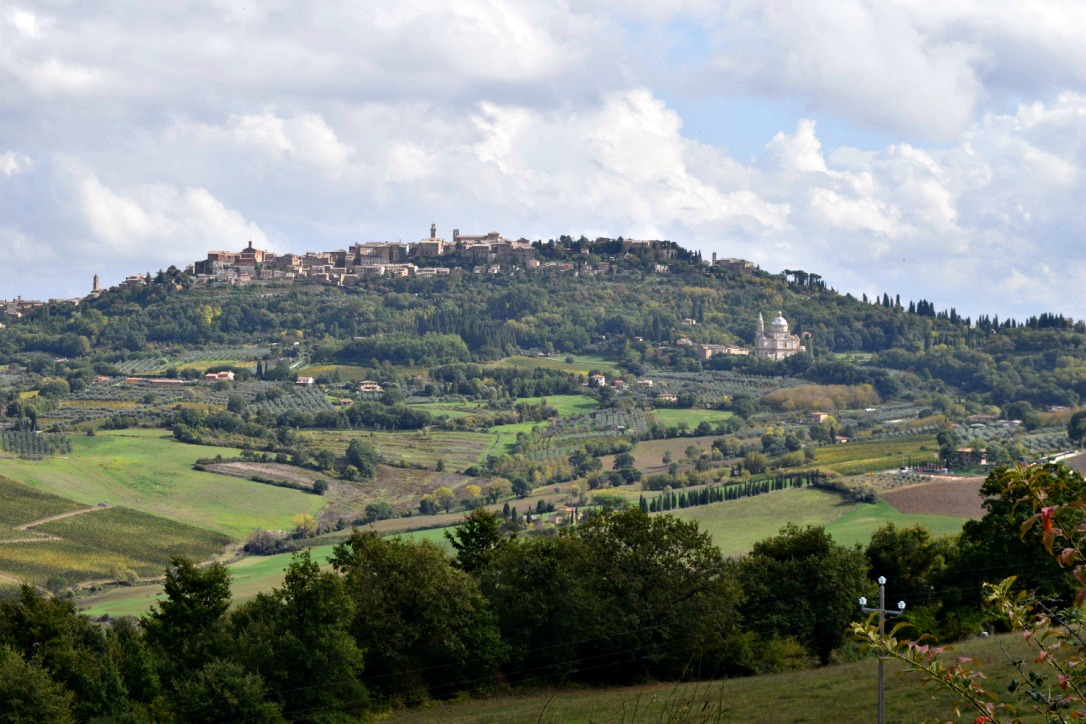 The view of Montepulciano from the Salcheto Winery
