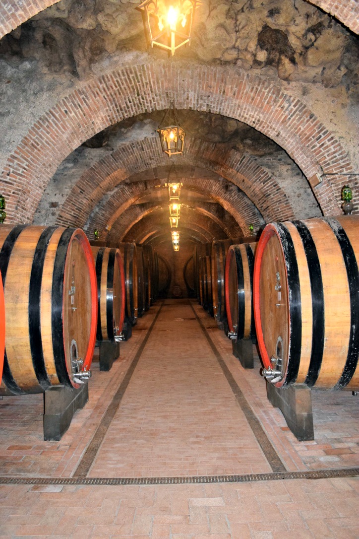 The wine cellar at Cantina Fattoria della Talosa