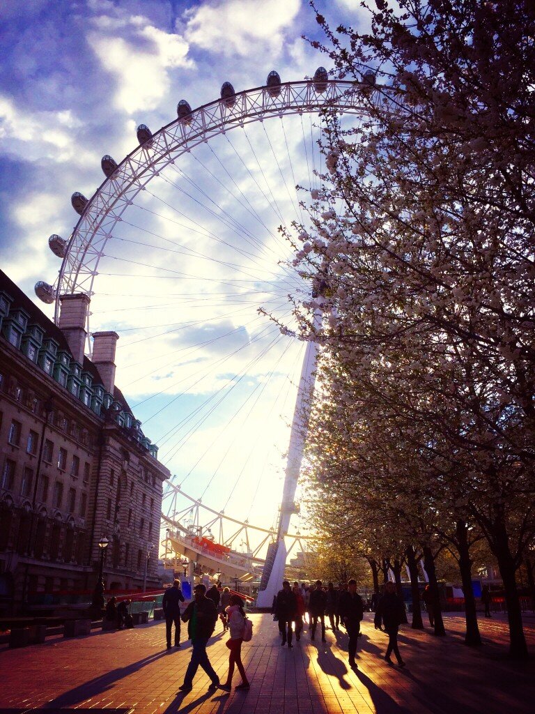 golden-hour-at-london-eye-cherry-blossoms_t20_8Bwmla.jpg