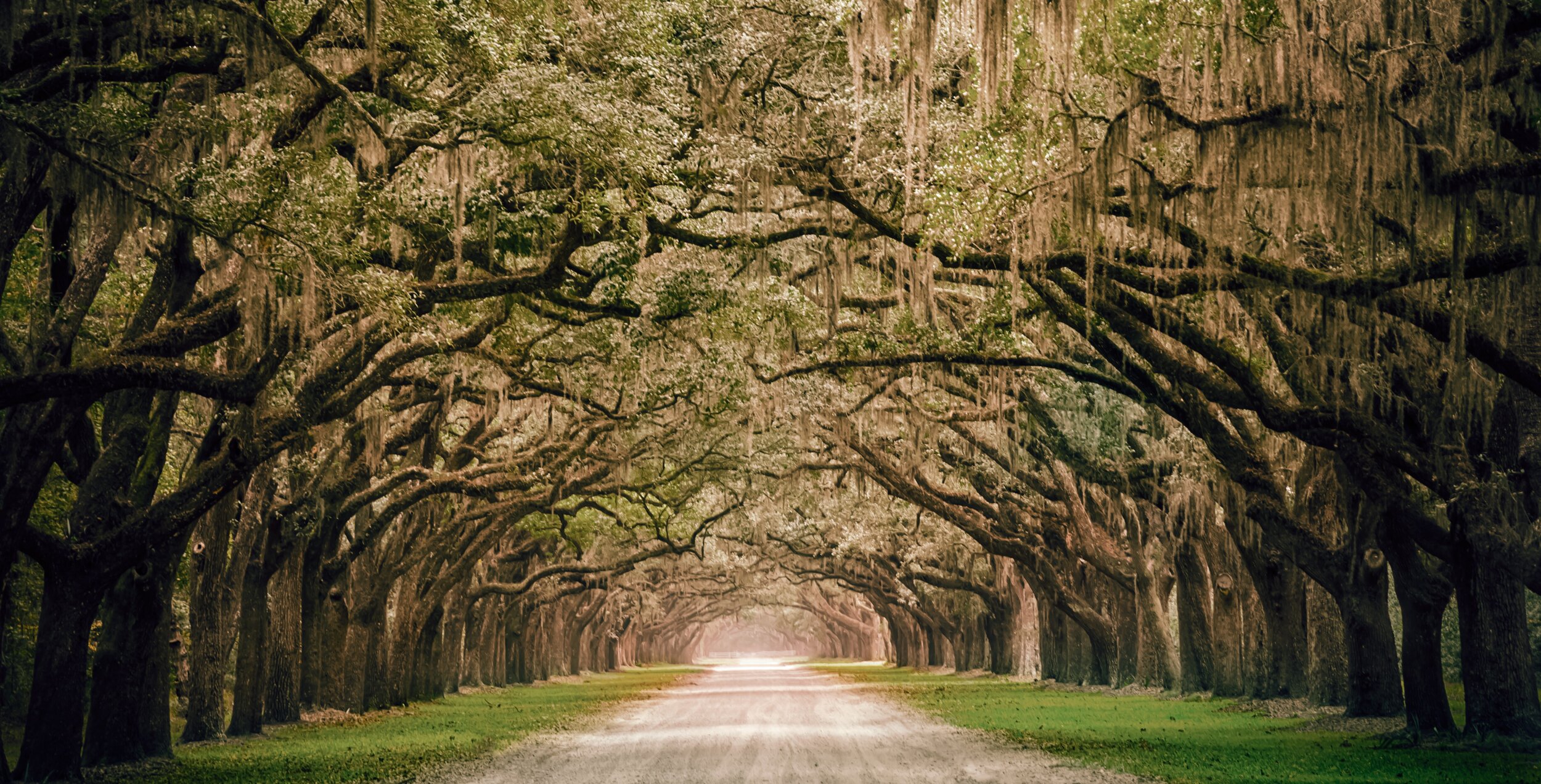 one-of-the-most-beautiful-plantations-i-have-ever-seen-the-historic-wormsloe-plantation-in-savannah_t20_JlP6Kl.jpg