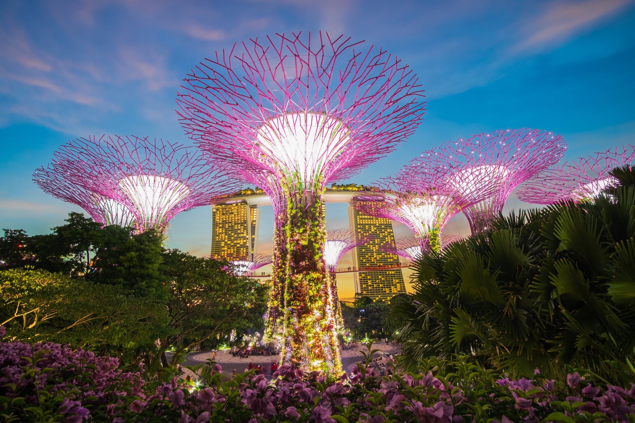 the-supertree-grove-at-gardens-by-the-bay-with-marina-bay-sands-hotel-in-singapore-landmark-and_t20_gRBO6k.jpg