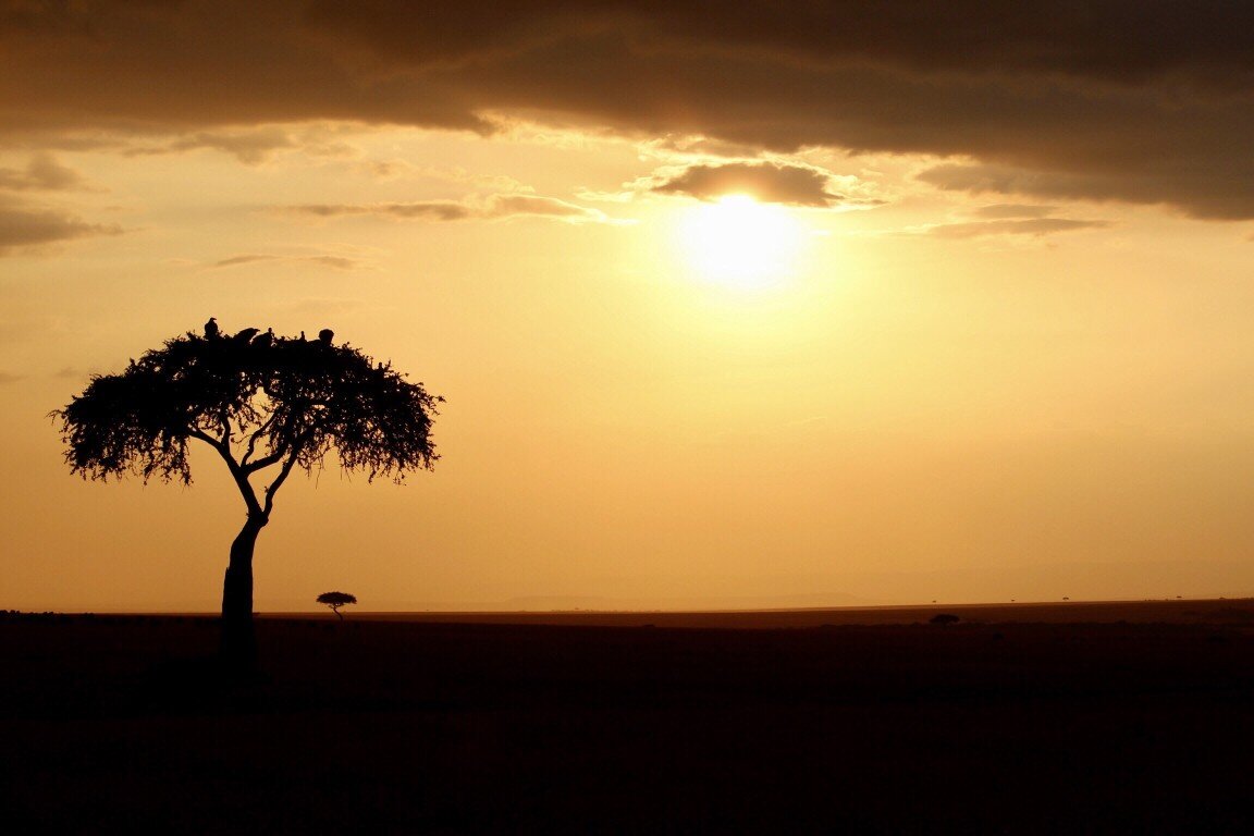 african-sunset_t20_XQLm79.jpg