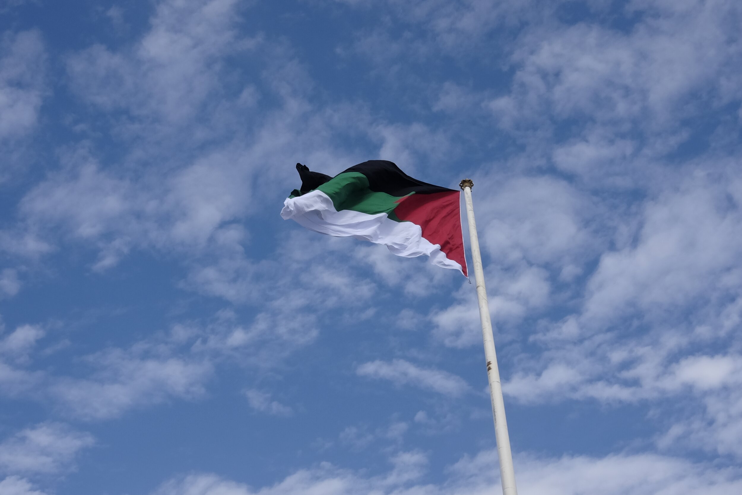 jordanian-flag-in-the-wind_t20_lRaLrg.jpg